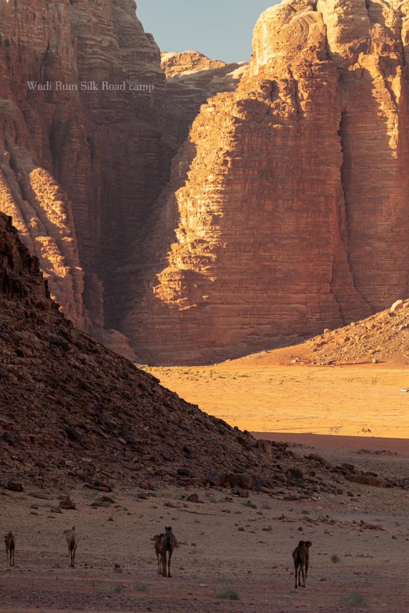 Wadi Rum Silk Road Camp Exterior photo